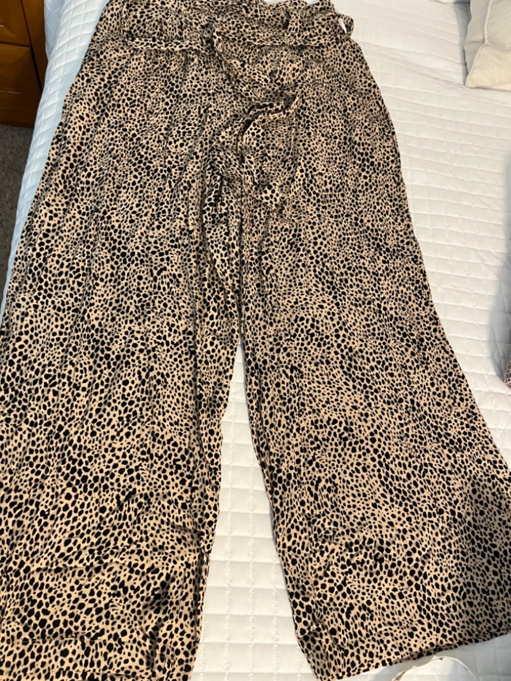 American Eagle Leopard Print Paper Bag Waist Pants